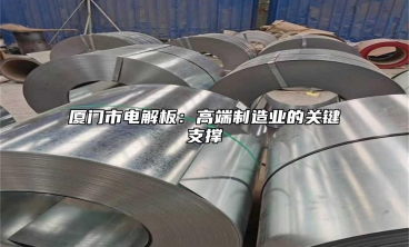 廈門市電解板：高端製造業的關鍵支撐