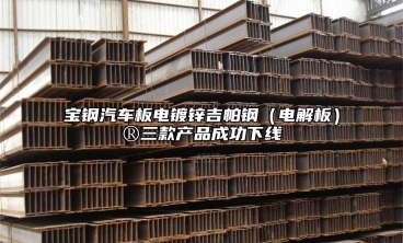 寶鋼汽車板電鍍鋅吉帕鋼（電解板）®三款產品成功下線